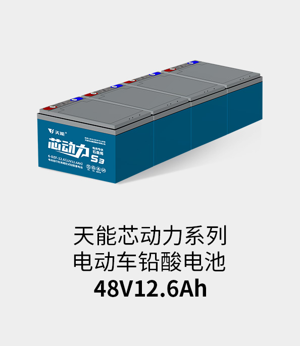 97522国际游戏电池48v12ah