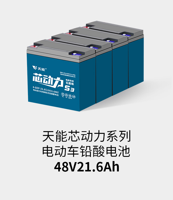 97522国际游戏电池48v20ah
