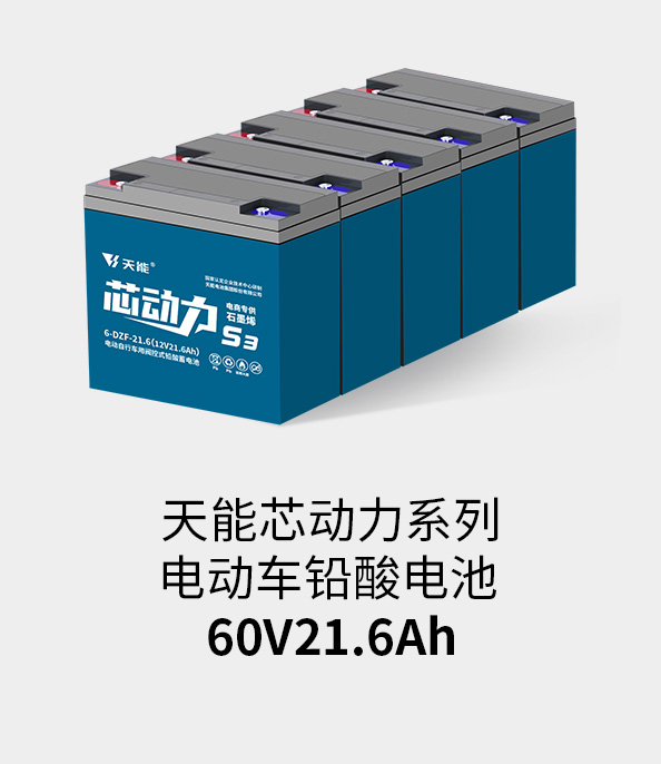 97522国际游戏电池60v20ah