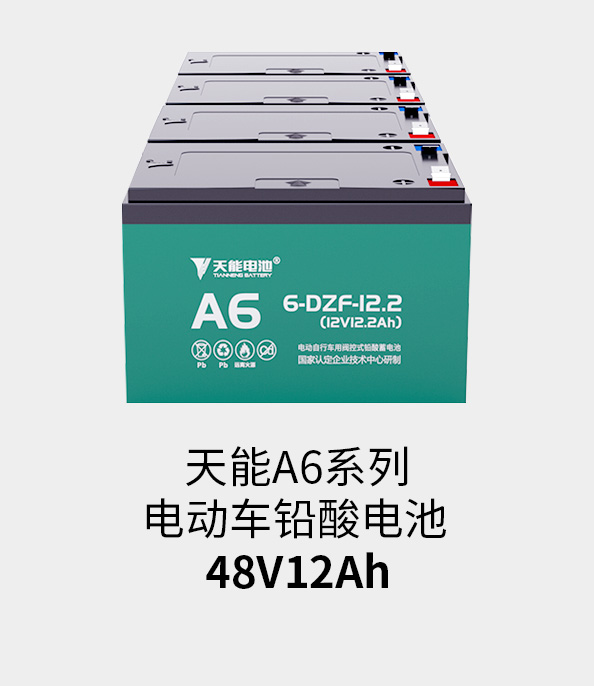 97522国际游戏电池48v12ah
