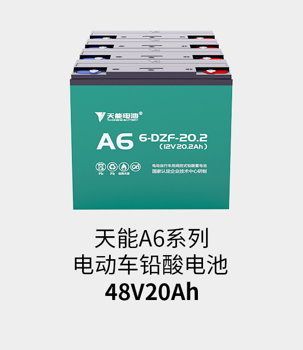 97522国际游戏电池48v20ah