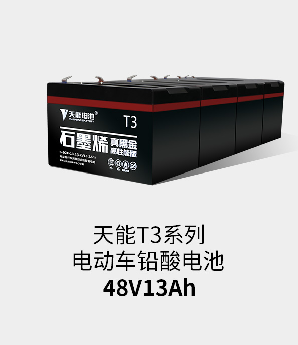 97522国际游戏T3系列48v13ah
