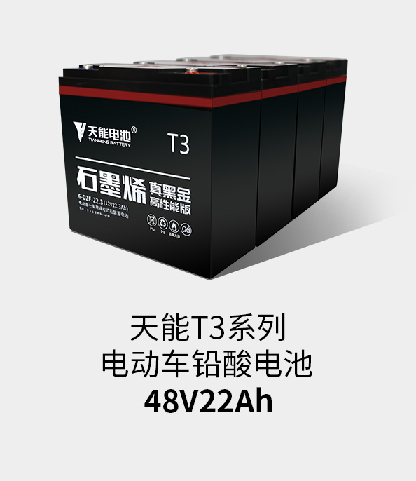 97522国际游戏T3系列48v22ah