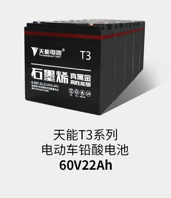 97522国际游戏T3系列60v22ah