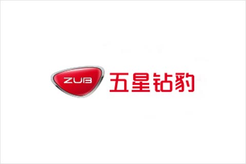 97522国际游戏电池合作伙伴 五星钻豹电动车